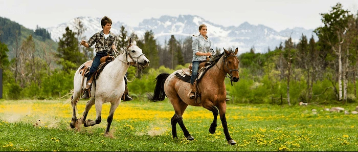 Confident plus-size woman riding Twyford a horse through a field with a smile on her face.